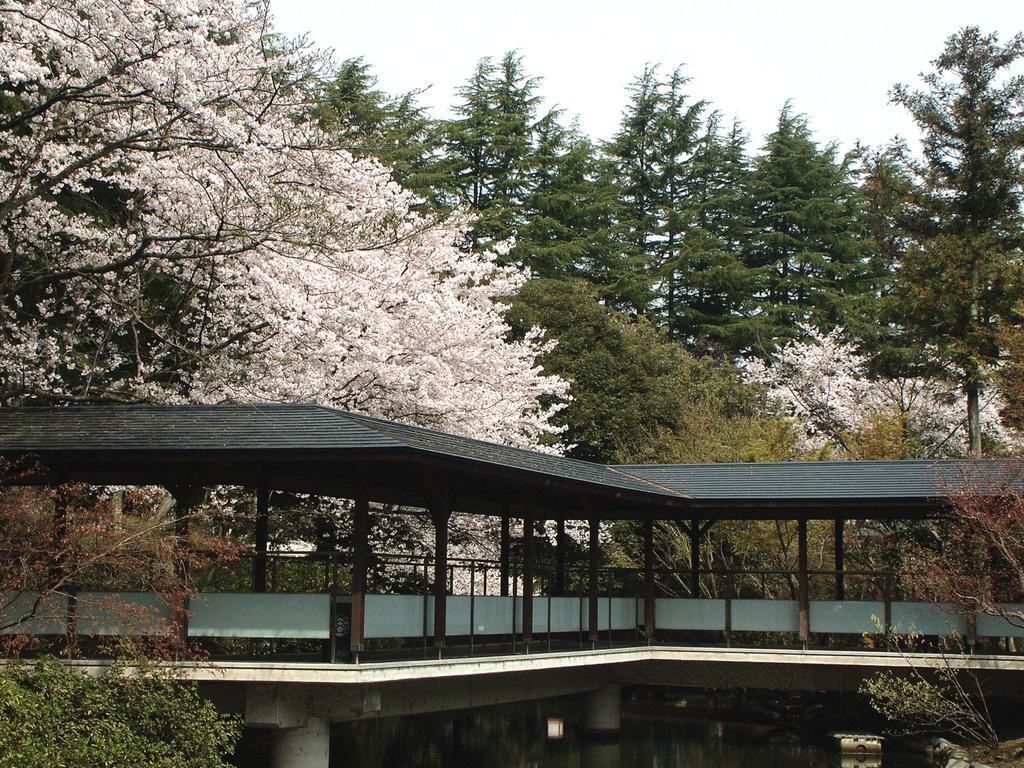 Matsusaki Nomi Ngoại thất bức ảnh