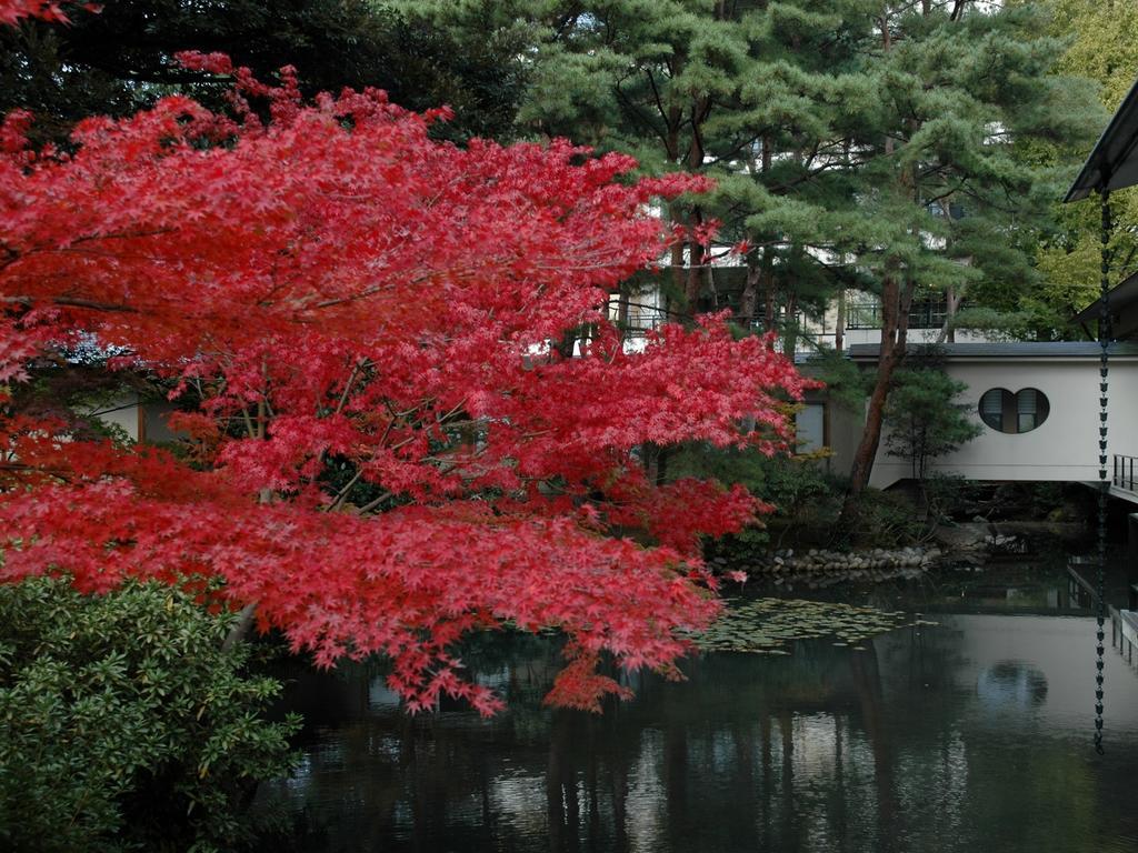 Matsusaki Nomi Ngoại thất bức ảnh