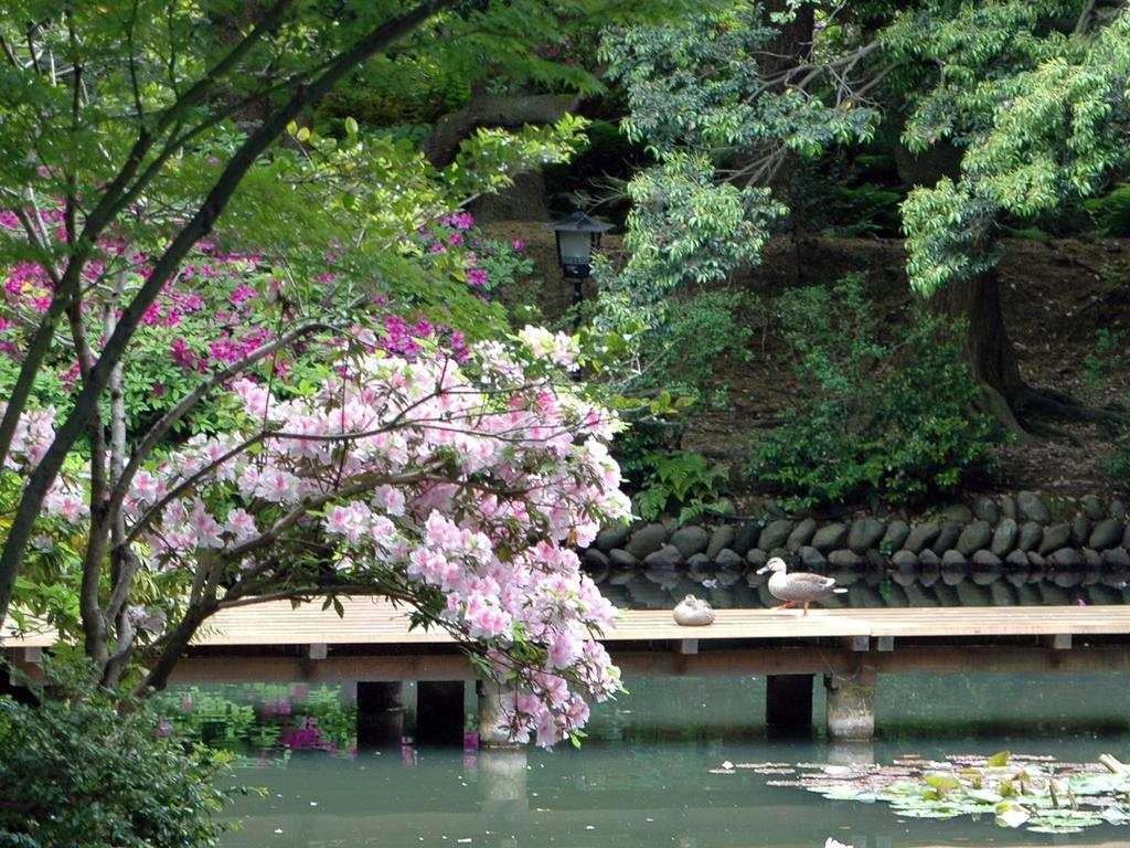 Matsusaki Nomi Ngoại thất bức ảnh