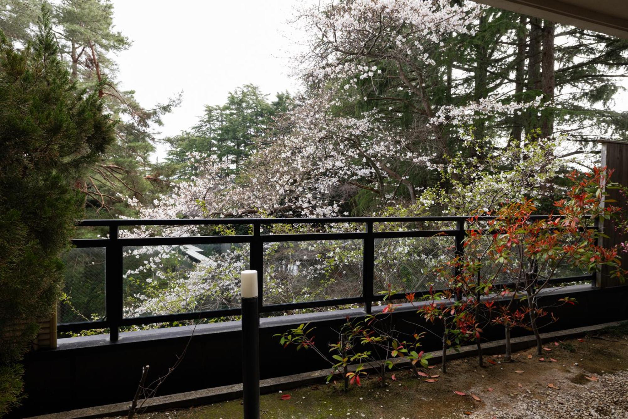 Matsusaki Nomi Ngoại thất bức ảnh